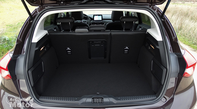 Ford Focus trunk
